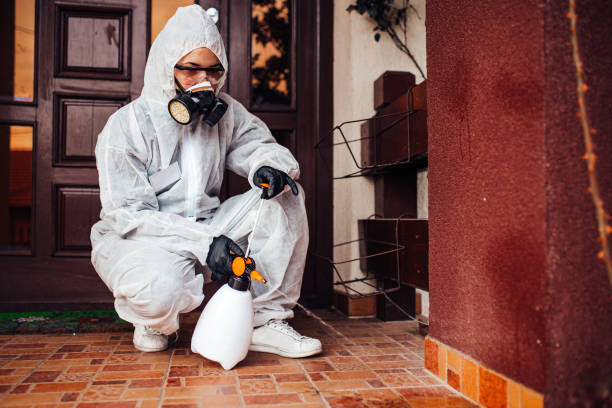 Reliable Cockroach Control contractor in Lake Wilderness, VA by Nex Pest Control