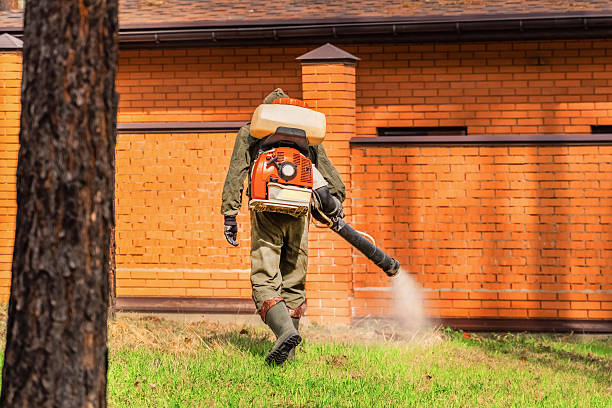 Trusted Cockroach Control service in Lake Wilderness, VA - Nex Pest Control